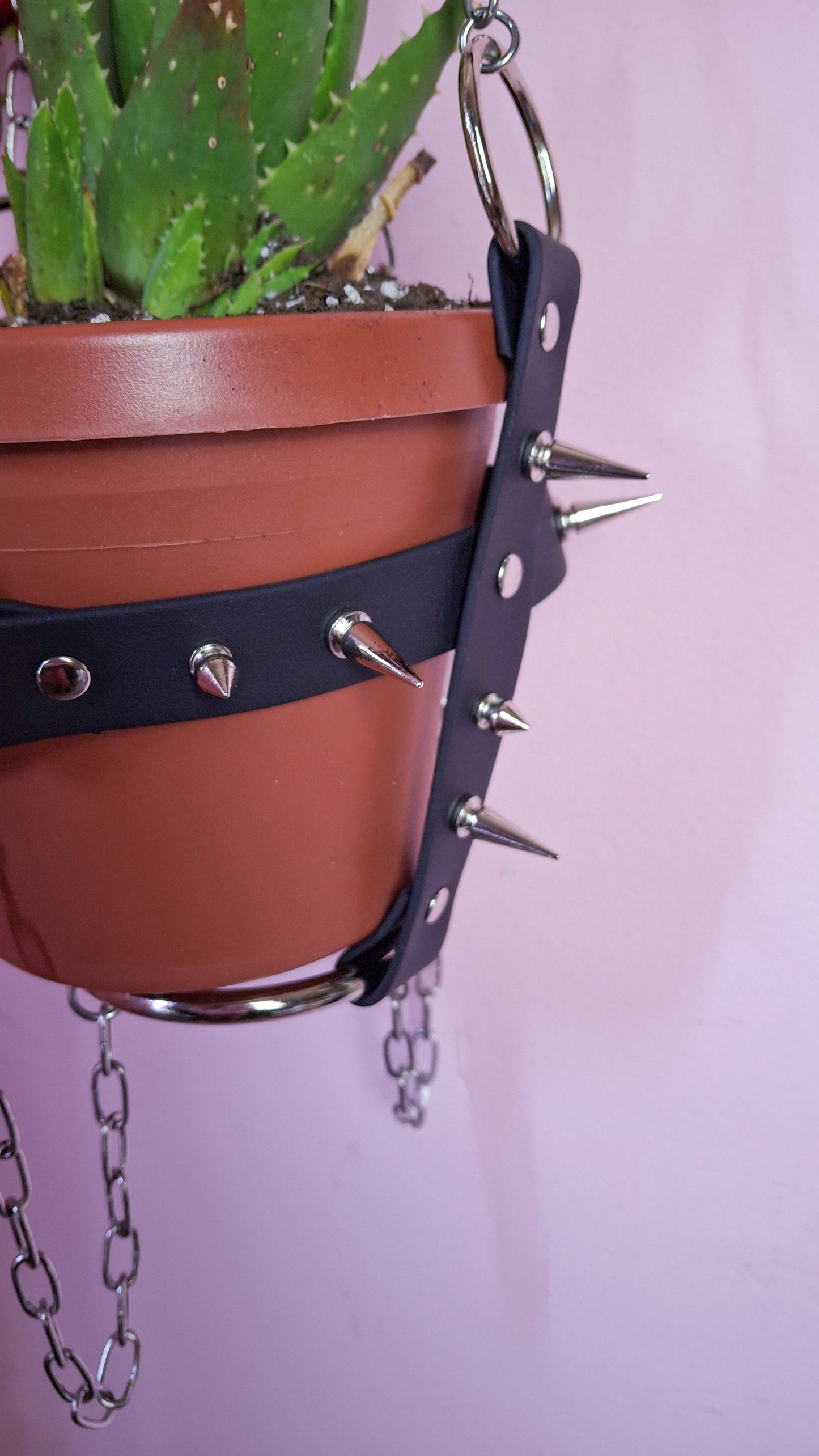 Bondage plant hanger