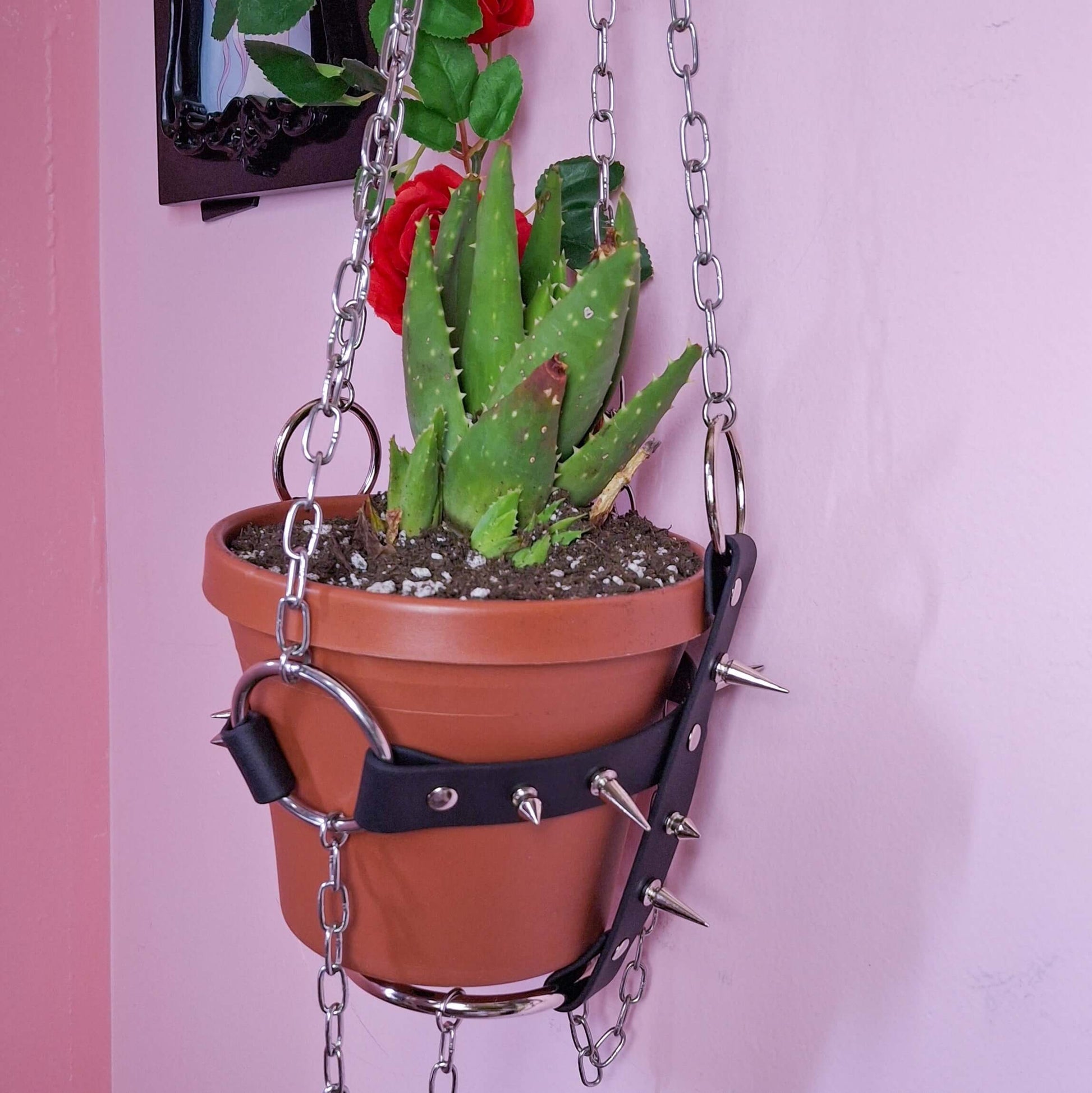 bdsm plant hanger Bondage plant hanger – SKG-Designs