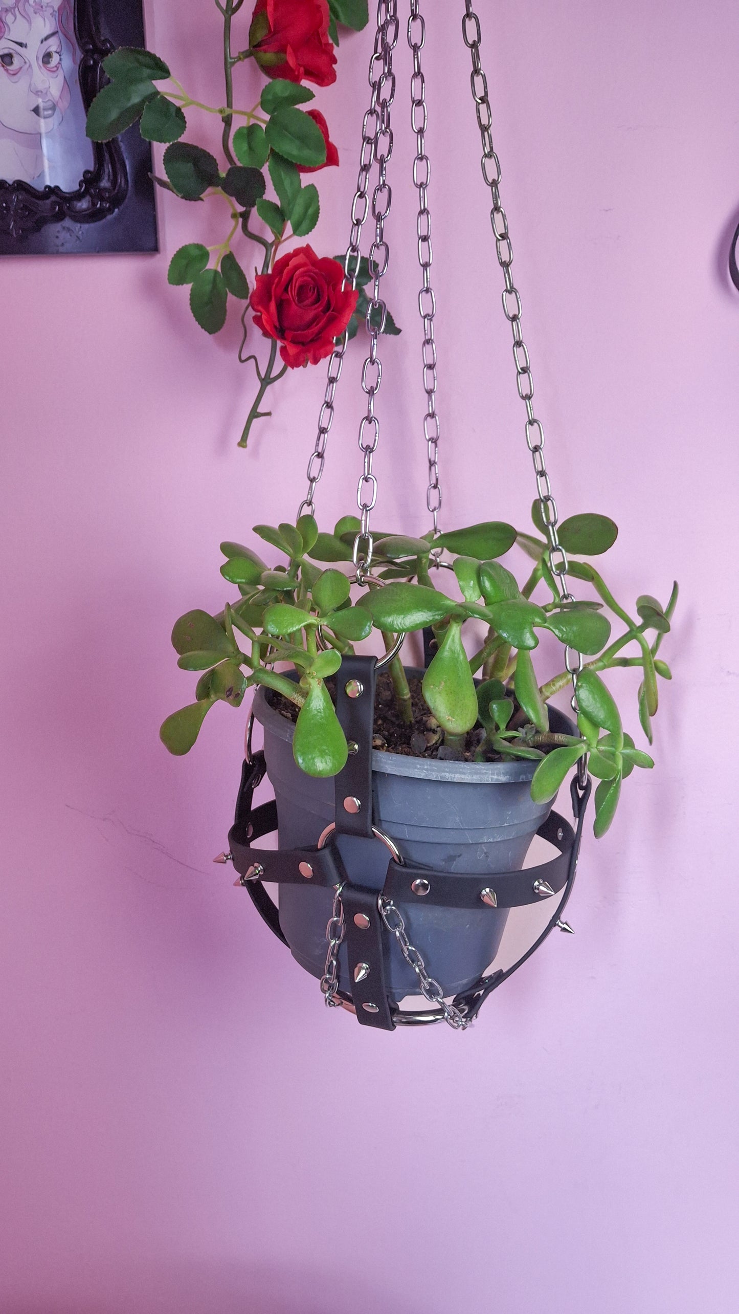 Bondage plant hanger