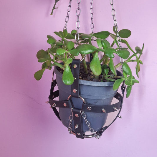 Bondage plant hanger