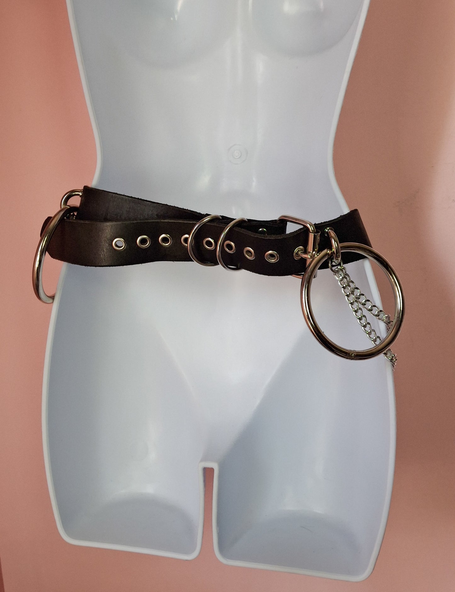 Xylia o-ring belt