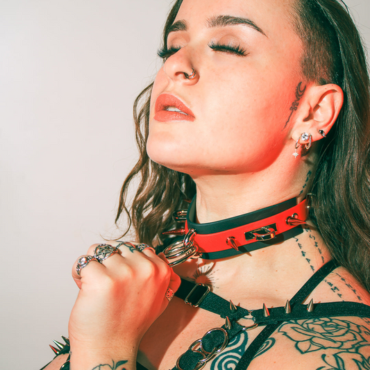 Limited Edition Red Spikes Saturn biothane or leather collar